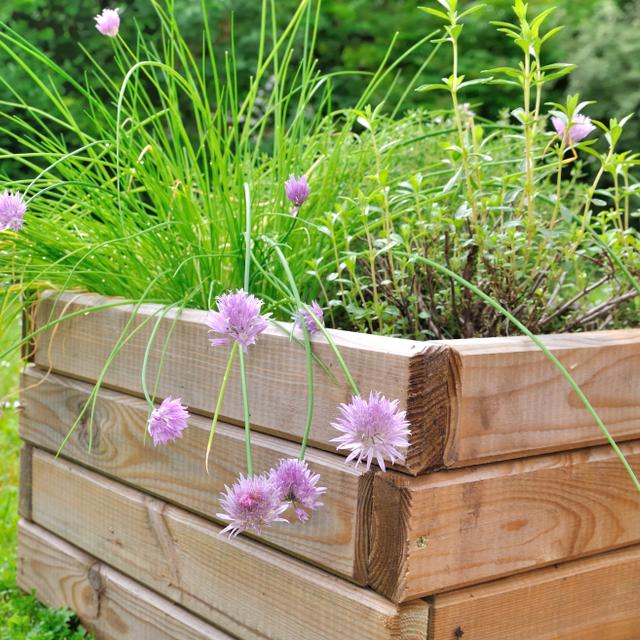 Comment fabriquer une jardinière en bois pour vos plantes printanières — free download